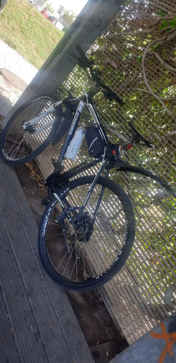 Πόλης Dynamic 2021 Dynamic Gravity Cross Crossbike Herren 28''